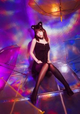 播放黑猫警长_高清免费在线观看